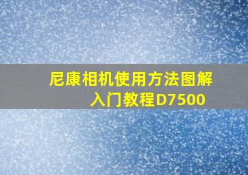 尼康相机使用方法图解 入门教程D7500